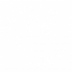 Fridays For Future